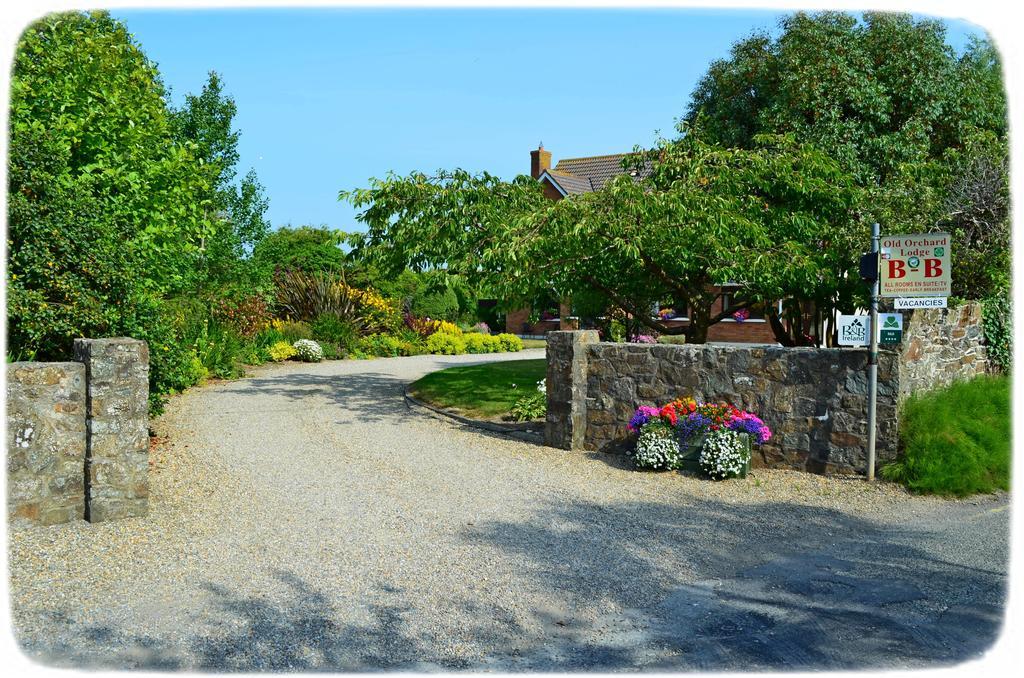 Bed & Breakfast Old Orchard Rosslare Harbour
